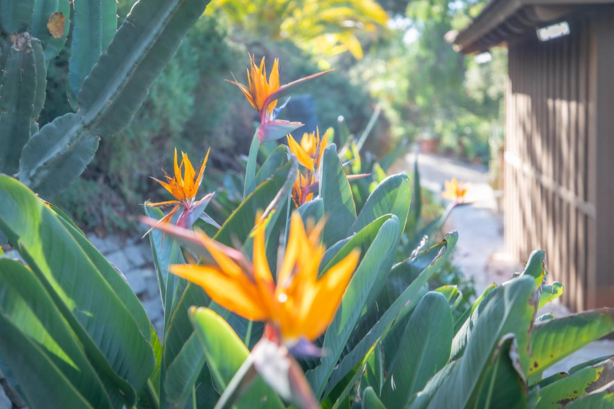 Nature Focused Villa Designed For Wellness Fallbrook Bagian luar foto